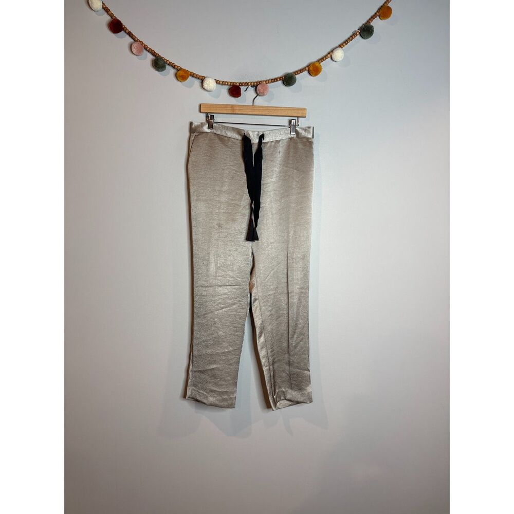 Ann Taylor metallic pull on dress pants